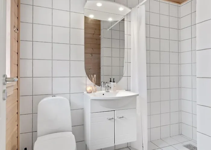 Pet Friendly In With Wifi